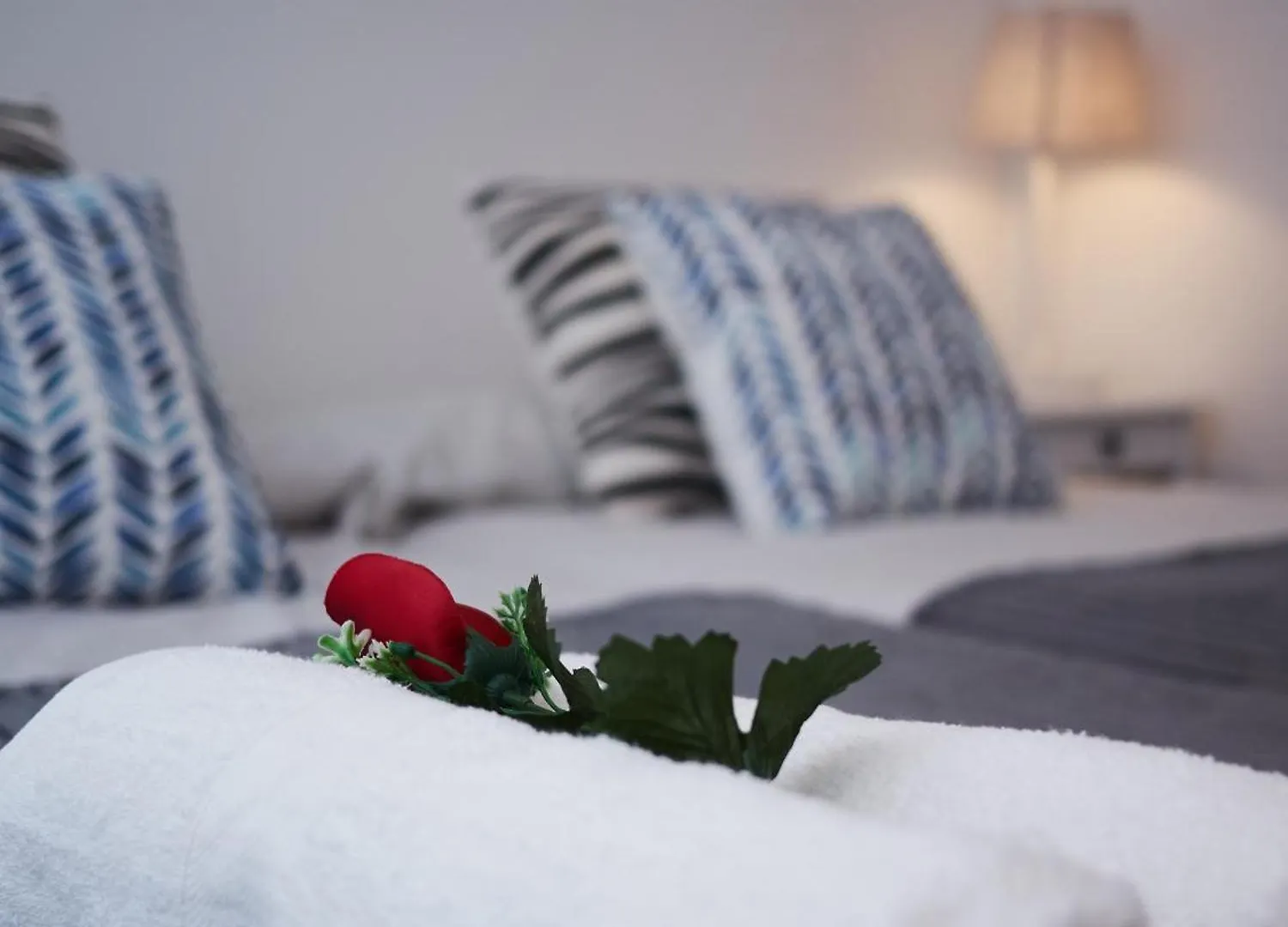 Amara Prime San Sebastian Apartment Spain